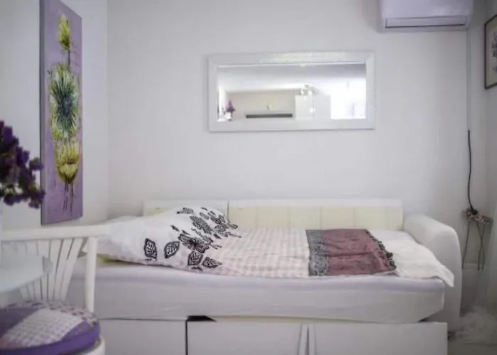 In Near Krka River And Beaches * Raslina